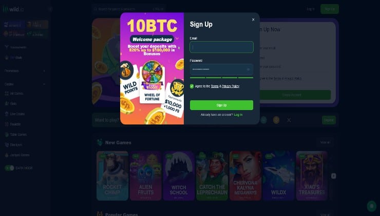 Registering for an account at the Wild.io casino