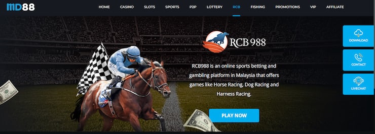 MD88 Horse Racing Betting Sites