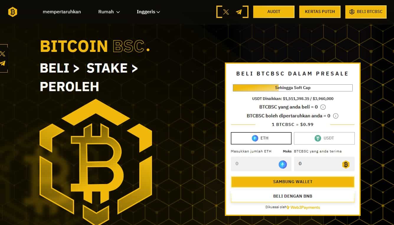 Bitcoin BSC - ICO Crypto
