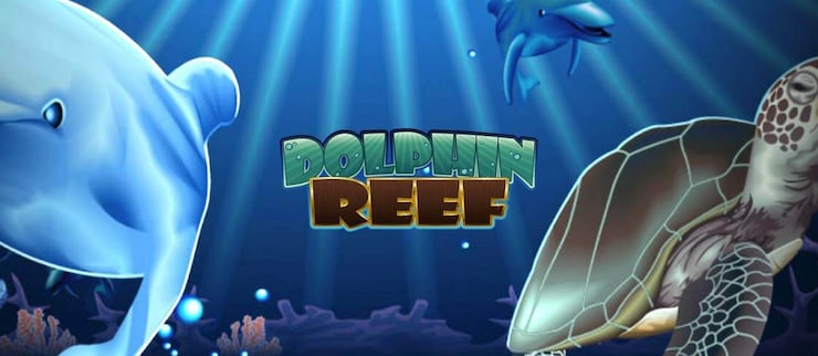 Dolphin Reef Slot